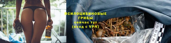 MESCALINE Новозыбков