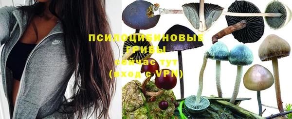 синтетический гашиш Новокубанск